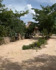 Predio Rústico Tablaje catastral no. 8740,, Chemax, Yucatan 97770, Mexico