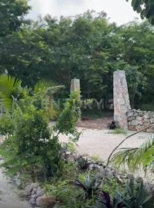 Predio Rústico Tablaje catastral no. 8740,, Chemax, Yucatán 97770, Mexico