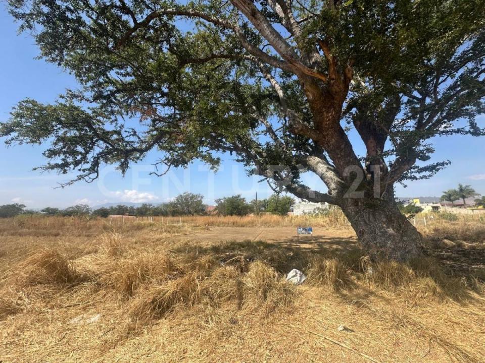 Xoxocotlán S/N,, Santa Cruz Xoxocotlan, 瓦哈卡 71230, 墨西哥