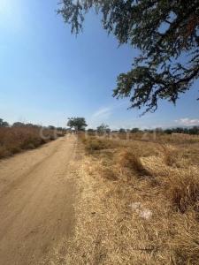 Xoxocotlán S/N,, Santa Cruz Xoxocotlan, 瓦哈卡 71230, 墨西哥
