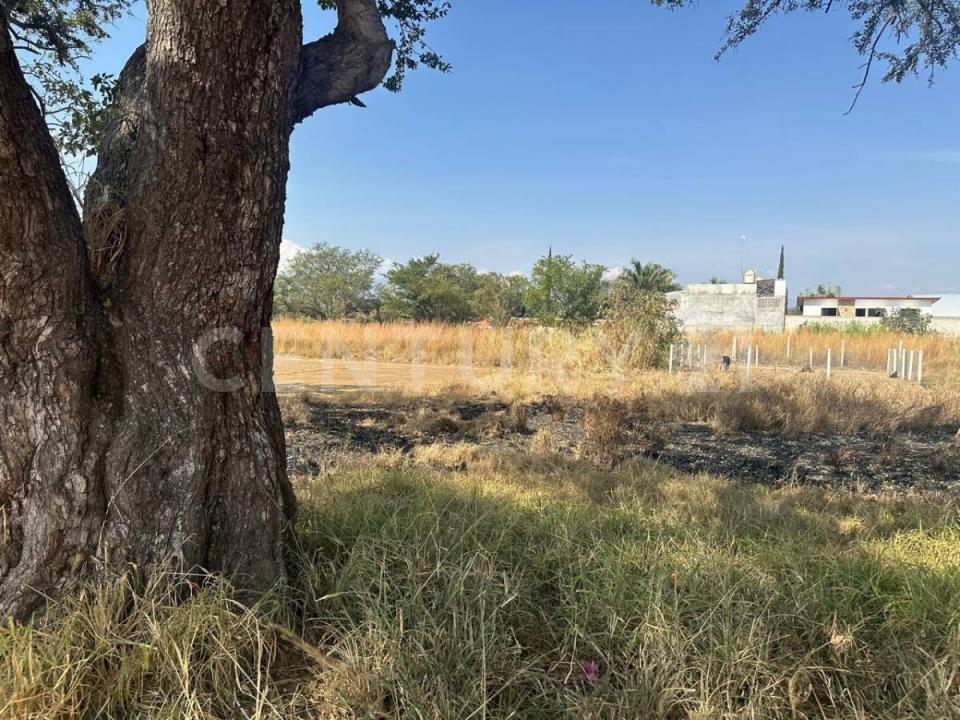 Xoxocotlán S/N,, Santa Cruz Xoxocotlan, Oaxaca 71230, México