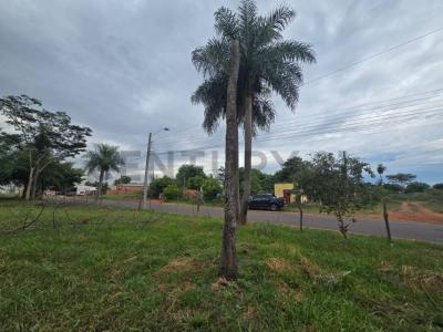 Aldana Cañada , Julián Augusto Saldívar, Central 00001, Paraguay