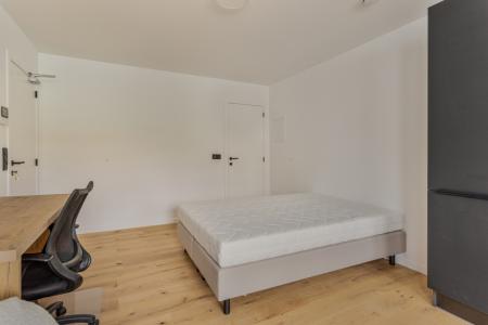 Pleinstraat 52, Leuven, 3001, Belgium