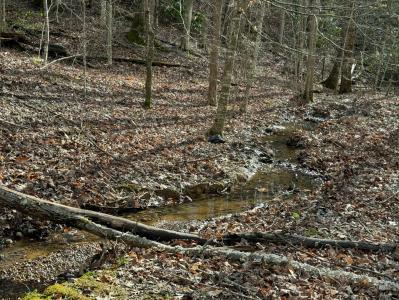 Lot 27 Pinnacle Vista Rd, Gatlinburg, Tennessee 37738