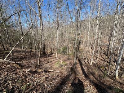 Lot 27 Pinnacle Vista Rd, Gatlinburg, Tennessee 37738
