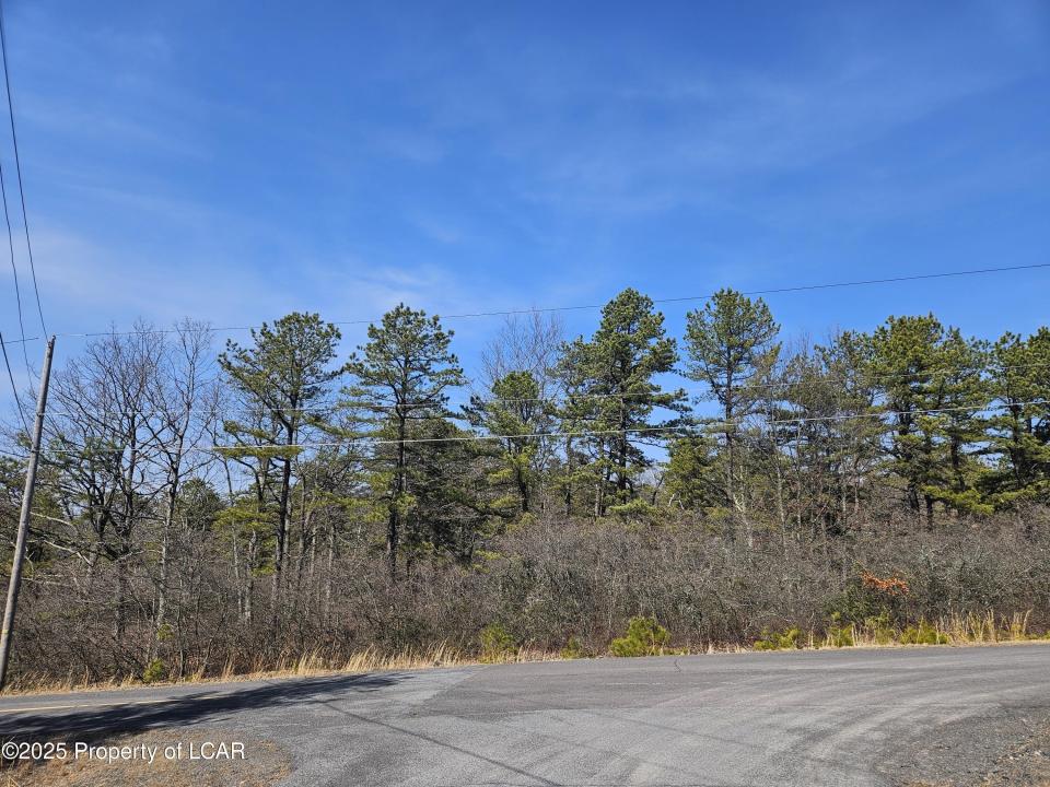 194 Pocahontas Drive, Hazle Twp, Pennsylvania 18202, Stati Uniti