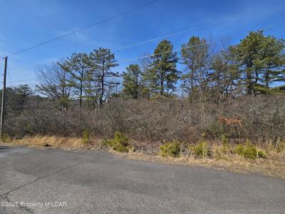 194 Pocahontas Drive, Hazle Twp, Pennsylvania 18202, Stati Uniti