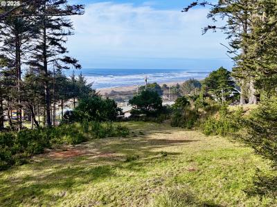 94090 PACIFIC VISTA DR Lot 4, Gold Beach, Oregon 97444, USA