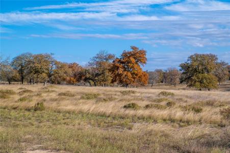 847 Littlehorn LN, Stockdale, Texas 78160, USA