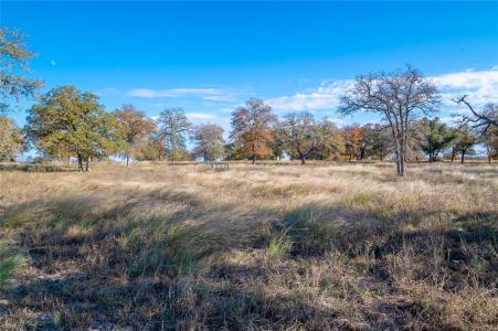 847 Littlehorn LN, Stockdale, Texas 78160, États-Unis
