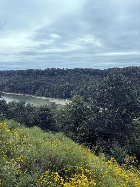 Lot 145 Stillwater , Russell Springs, Kentucky 42642, Estados Unidos