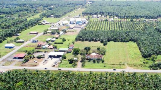 Parrita Parrita, Puntarenas 60901, Costa Rica