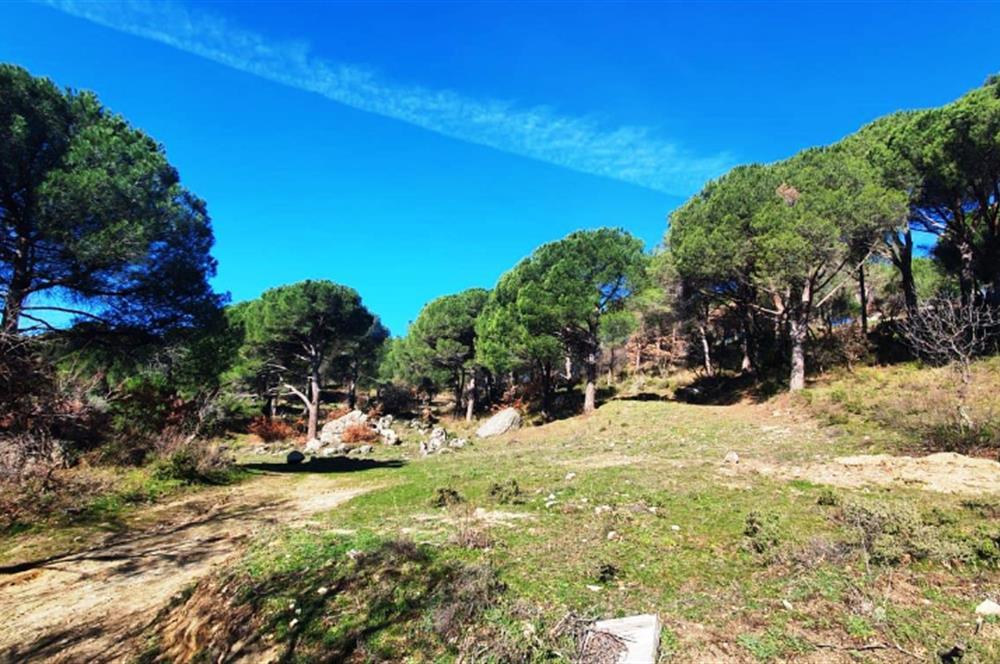 Balıkesir, Turquía