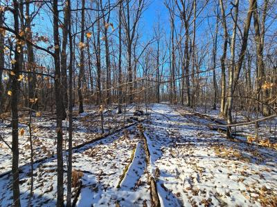XXX Red Oak Drive, Garrison, Minnesota 56450