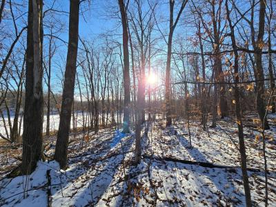 XXX Red Oak Drive, Garrison, Minnesota 56450