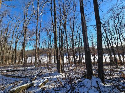XXX Red Oak Drive, Garrison, Minnesota 56450