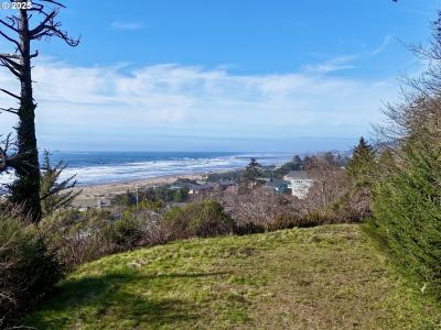 95040 PACIFIC VISTA DR Lot 1, Gold Beach, Oregon 97444, USA