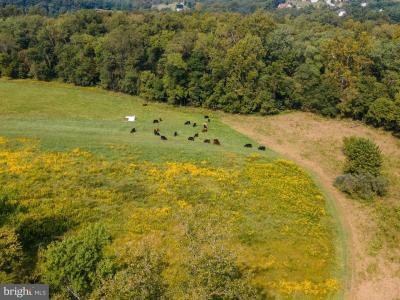 Lot 15, Marigold Way, Gerrardstown, West Virginia 25420, USA