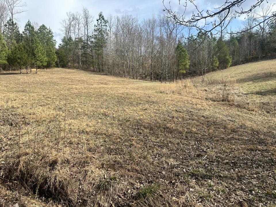 Lot 12 Lees Lane, Monticello, Kentucky 42633, HOA KỲ