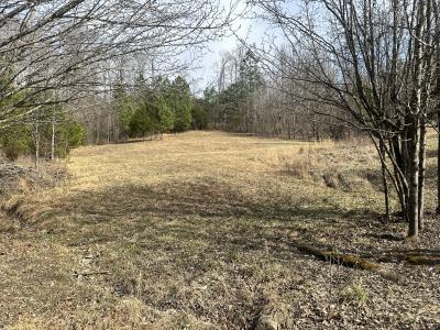 Lot 12 Lees Lane, Monticello, Kentucky 42633, HOA KỲ