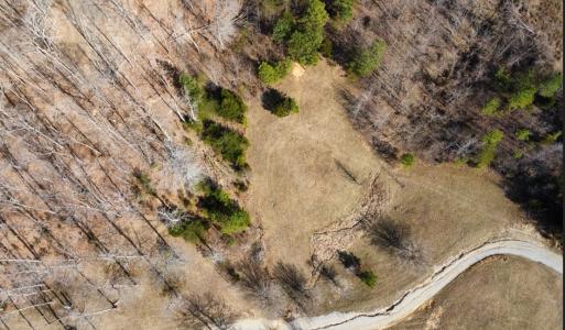 Lot 12 Lees Lane, Monticello, Kentucky 42633, HOA KỲ