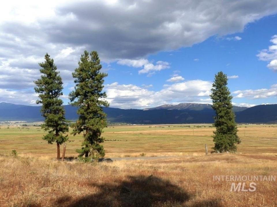 Lot 24 Timber Ridge, New Meadows, 爱达荷州 83654, 美国