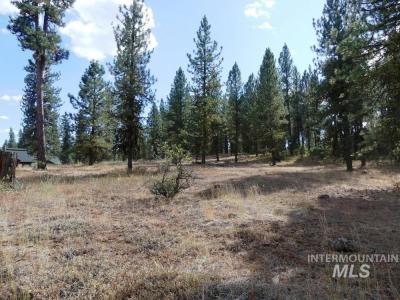 Lot 24 Timber Ridge, New Meadows, 爱达荷州 83654, 美国