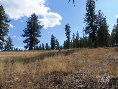 Lot 24 Timber Ridge, New Meadows, 爱达荷州 83654, 美国