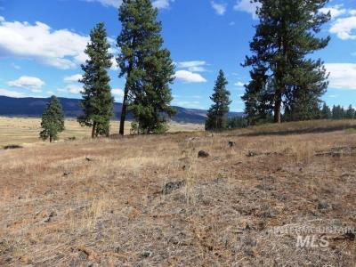 Lot 24 Timber Ridge, New Meadows, 爱达荷州 83654, 美国