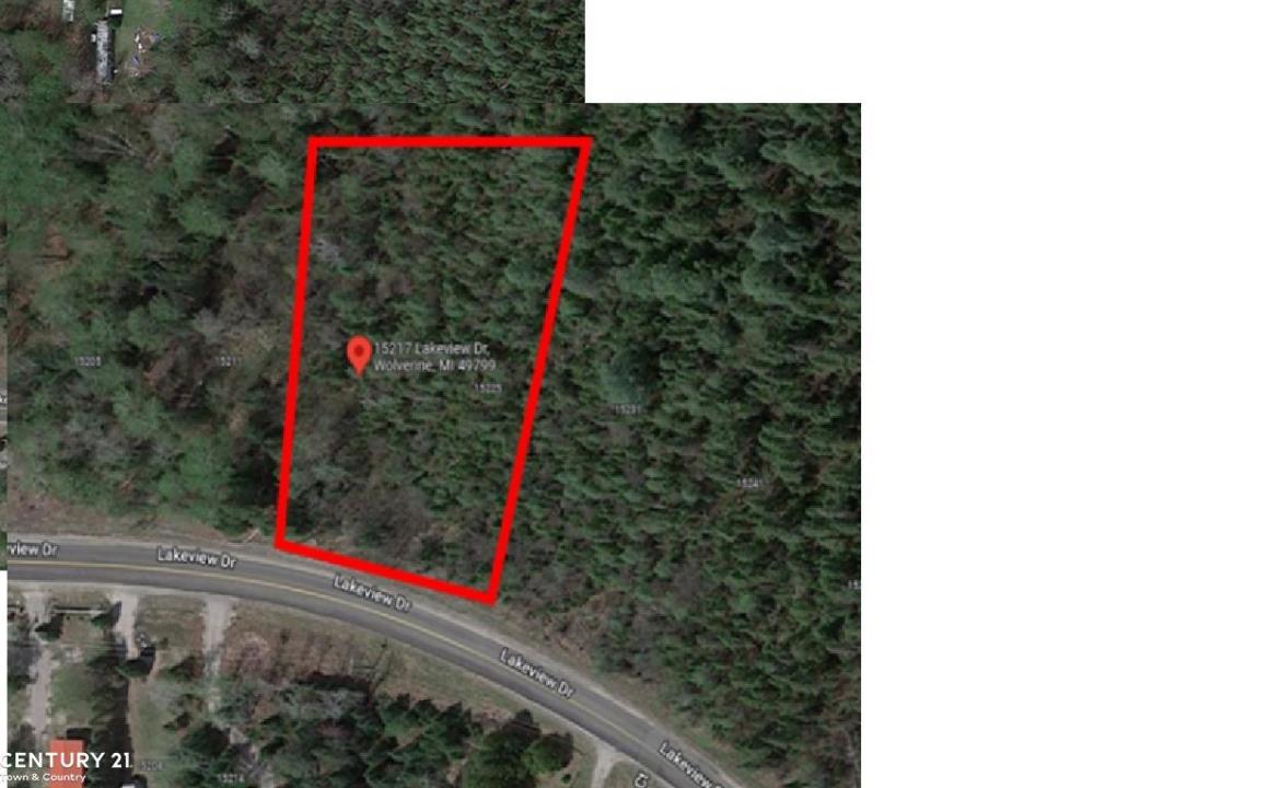 15217 Lakeview, Wolverine Lake, Michigan 49799, Estados Unidos