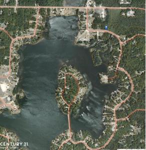 15217 Lakeview, Wolverine Lake, Michigan 49799, USA