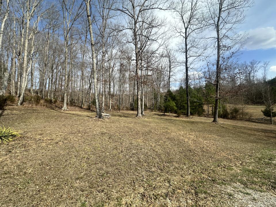 Lot 11 Tom O'Ryan Rd, Monticello, ケンタッキー 42633, アメリカ合衆国