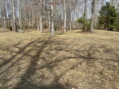 Lot 11 Tom O'Ryan Rd, Monticello, ケンタッキー 42633, アメリカ合衆国