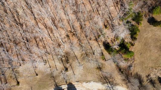 Lot 11 Tom O'Ryan Rd, Monticello, ケンタッキー 42633, アメリカ合衆国
