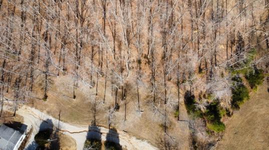 Lot 11 Tom O'Ryan Rd, Monticello, Kentucky 42633, USA