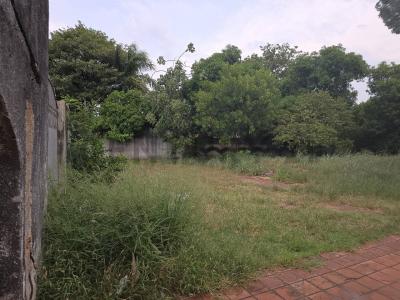 Trinidad, Asunción 00001, Le Paraguay