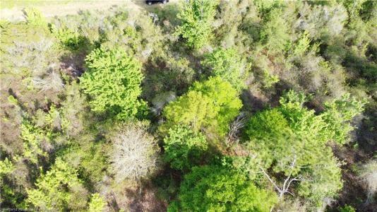 1408 S Olsen Road, Avon Park, Florida 33825, Estados Unidos