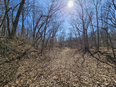 XXX Black Oak Trail, Kirksville, Missouri 63501, HOA KỲ