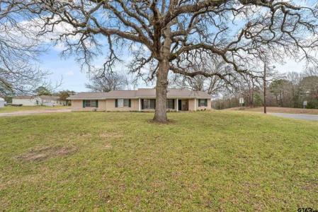 110 N Green St, Hawkins, Texas 75765, États-Unis