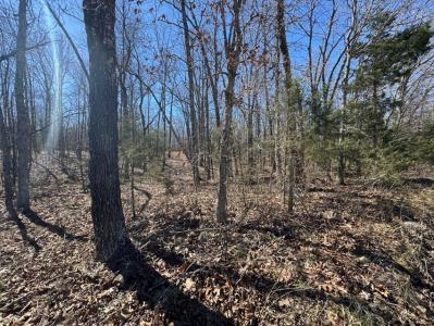 000 County Road 7400, West Plains, Missouri 65775, Estados Unidos