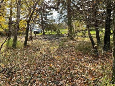 63 STEWART AVENUE, Kelwood, Manitoba R0J 0Y0, Canada