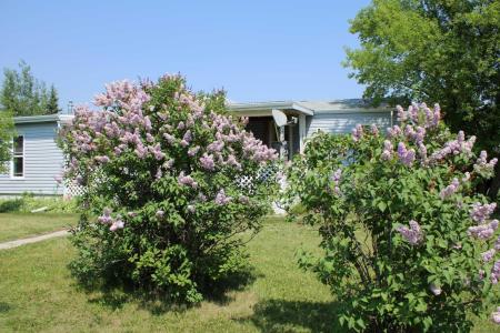 33009 RANGE ROAD 55, Rural Mountain View County, Alberta T0M 1X0, Canada