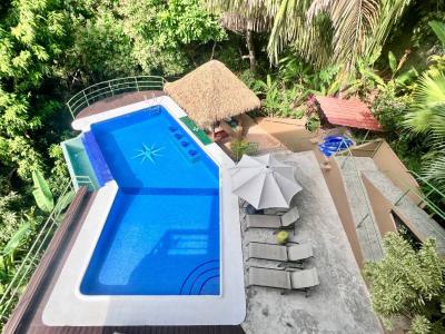 Manuel antonio , Quepos Quepos, Puntarenas 00001, 哥斯達尼加
