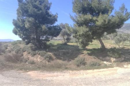 Izmir, Turquía