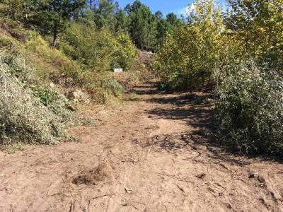 Amares, Braga 4720-147, Portugal