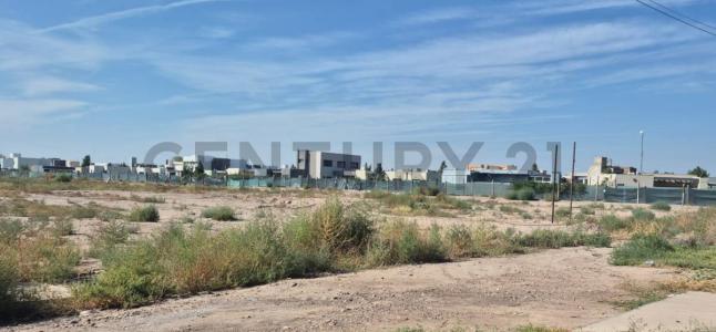 Milagros 1645, Rodeo De La Cruz, Mendoza 5525, الأرجنتين