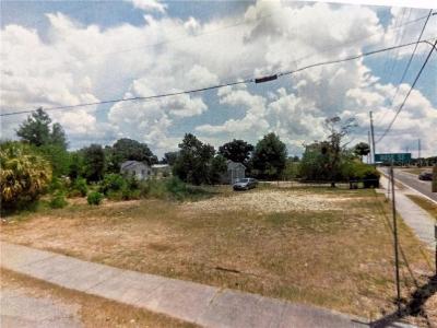 KOKOMO ROAD NE, Haines City, フロリダ 33844, アメリカ合衆国