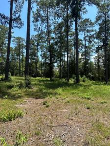 Lot 2 Pr 6028, Brookeland, Texas 75931, USA