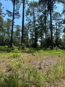 Lot 2 Pr 6028, Brookeland, تكساس 75931, الولايات المتحدة