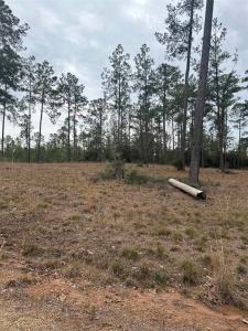 Lot 2 Pr 6028, Brookeland, تكساس 75931, الولايات المتحدة
